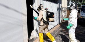 Porto Ferreira registra aumento de casos positivos de dengue em março