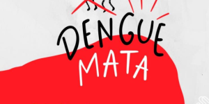 Dengue: mês de maio já soma 21 casos de dengue e 25 suspeitas aguardam resultado de exames