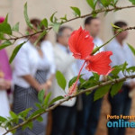 Solenidade de elevação da Igreja Matriz a Santuário Diocesano - P-01