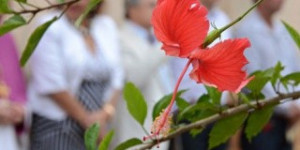 Solenidade de elevação da Igreja Matriz a Santuário Diocesano - P-01