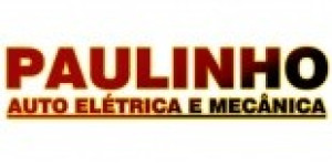 Paulinho Auto Elétrica e Mecânica