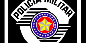 Ocorrências policiais registradas - 15/06