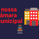 O Legislativo Municipal: como funciona a Câmara Municipal