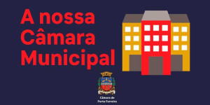 O Legislativo Municipal: como funciona a Câmara Municipal