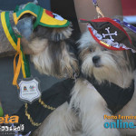 8º FestDog de Porto Ferreira - 28/08 - P03