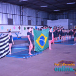 2º Festival Municipal de Ginástica Artística - 01/07