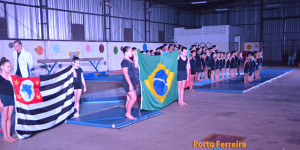 2º Festival Municipal de Ginástica Artística - 01/07