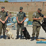 V FestDog de Porto Ferreira - Parte 03