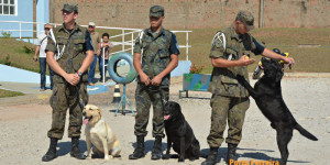 V FestDog de Porto Ferreira - Parte 03