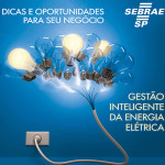 Sebrae-SP e ABESCO lançam guia de gestão inteligente da energia elétrica