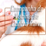 Sábado tem vacinação contra raiva para cães e gatos