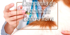 Sábado tem vacinação contra raiva para cães e gatos