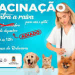 Vacinação contra raiva em cães e gatos é transferida para o dia 4 devido à previsão do tempo