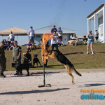 IV FestDog de Porto Ferreira - Parte 2