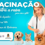 Vacinação contra raiva em cães e gatos acontece neste sábado na Praça da Rodoviária