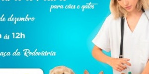 Vacinação contra raiva em cães e gatos acontece neste sábado na Praça da Rodoviária