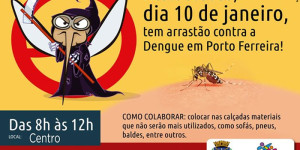 Dengue: com epidemia confirmada, Porto Ferreira fará arrastões de limpeza a partir de sábado