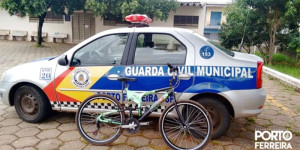 GCM localiza moto adulterada em matagal e recupera bicicleta furtada