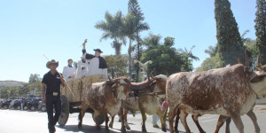 Fim de semana tem concurso Garota Country e Cavalaria Jorgeana