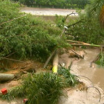 Chuva forte estoura barragem, alaga ruas e ponte é interditada em Porto Ferreira