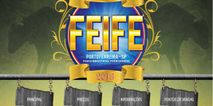 Feife 2013 divulga valores de ingressos, passaportes e camarotes