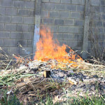 Fiscalização de Posturas alerta: atear fogo para limpeza de terreno é infração e gera multa