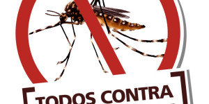 Dengue: mês de julho fecha sem registro de caso da doença