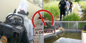 Dengue: cidade atinge quase 3 mil casos, mas avanço da doença é menor na última semana