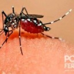 Porto Ferreira confirmou mais quatro casos de dengue no último mês