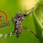 Porto Ferreira confirmou mais 6 casos de dengue na última semana