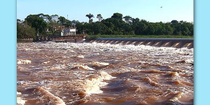 Chuva eleva nível do Rio Mogi Guaçu e favorece piracema em Pirassununga