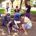 Vacinação de cães e gatos é adiada em todo Estado de São Paulo