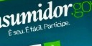 Procon de Porto Ferreira agora também atende a reclamações online