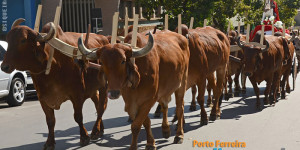 Cavalaria Jorgeana em Porto Ferreira - 06/07