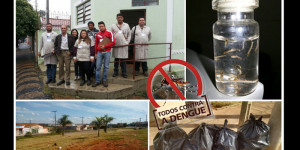 Dengue: Porto Ferreira fechou o mês de junho com 16 casos confirmados