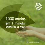 Semaz abre inscrições para o projeto Mil Mudas Em Um Minuto, que acontece no próximo domingo