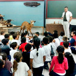 Alunos da Emef Sud Mennucci participam de palestra sobre o meio ambiente