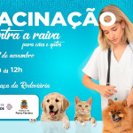 Vacinação contra raiva em cães e gatos acontece na manhã deste sábado na praça da Rodoviária