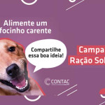 Participe da campanha de doação de ração e ajude ONG de Porto Ferreira