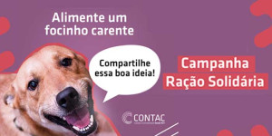 Participe da campanha de doação de ração e ajude ONG de Porto Ferreira