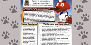 Porto Ferreira inicia programa de castração de cães e gatos