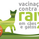 Departamento de Saúde dará início à vacinação de cães e gatos