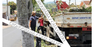 Fique atento: Departamento de Obras define cronograma para caminhão cata-galho percorrer bairros