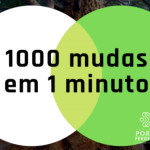 Semaz abre inscrições para o projeto Mil Mudas Em Um Minuto, que acontece no próximo domingo