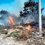 Fiscalização de Postura alerta que atear fogo para limpeza de terrenos é infração e gera multa