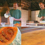 Agricultor dá receita de curau feito de abóbora, em Porto Ferreira, SP