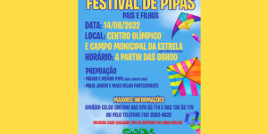 FESTIVAL DE PIPAS 