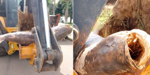 Carpa gigante de 65kg é retirada de represa com retroescavadeira em Vargem Grande do Sul; FOTOS