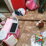 Creche clandestina é interditada em São Carlos após denúncia de supostos maus-tratos