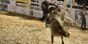 32º Rodeio de Ibaté terá shows de Zé Felipe, Maiara e Maraisa e Ana Castela; veja programação